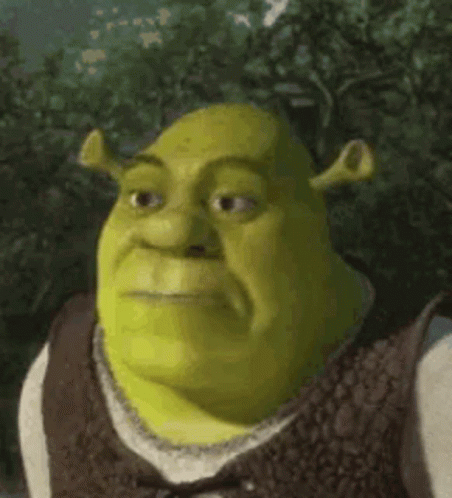 You Could Be Uglier Ugly Step Sister Shrek Meme Generator