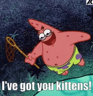 funny animals patrick star