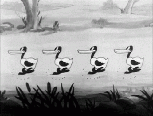 Image result for Get ducks in a row gif