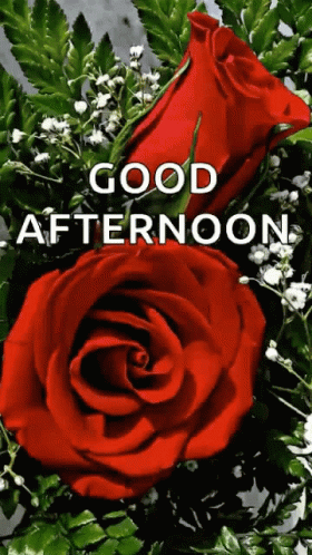 Good Afternoon Sparkles GIF - GoodAfternoon Sparkles Flowers - Discover ...