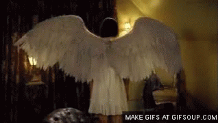 Image result for angel wings gif