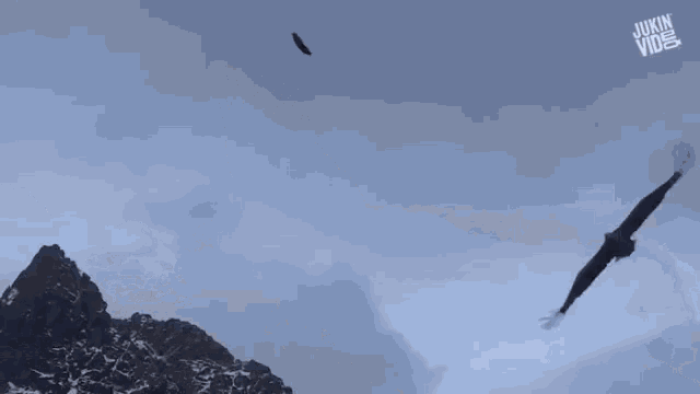 Grabbed It Soaring GIF - GrabbedIt Soaring Eagle - Discover ...