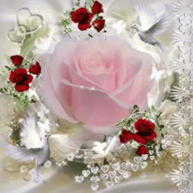 Image result for roses  -  doves gifs