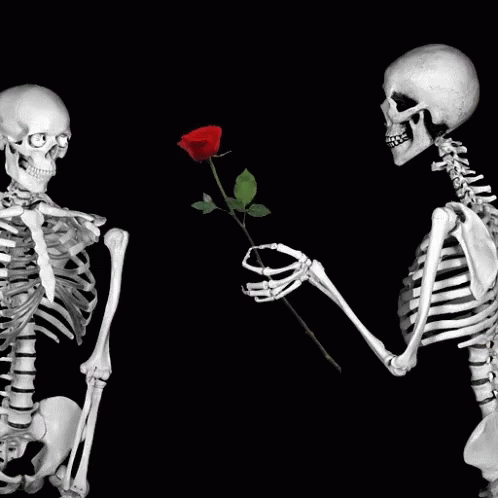 Caveiras gif tumblr