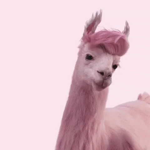 Lama Gifs Tenor