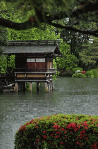 Zen Nature Gif Zen Nature House Discover Share Gifs Zen Nature Gif Zen Nature House Discover Share Gifs
