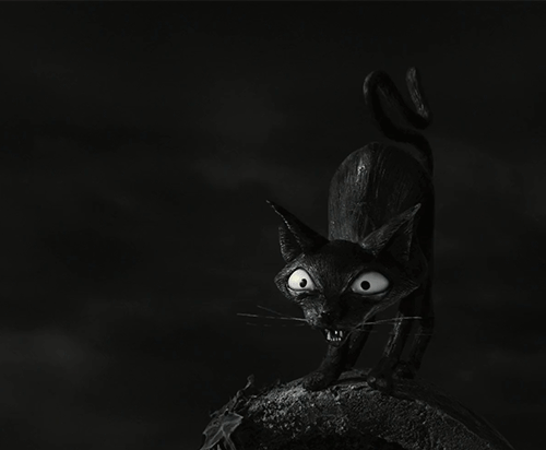 MeoWwwwwwwwww! GIF - 3D Cat Black - Discover &amp; Share GIFs