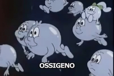 Risultati immagini per siamo fatti così