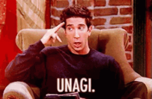 Unagi Friends GIF - Unagi Friends RossGeller - Discover & Share GIFs