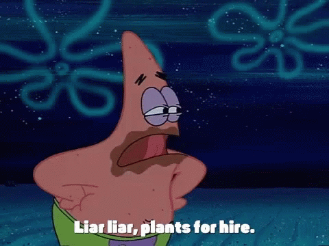 Patrick Star Liar Gif Patrickstar Liar Plants Discover Share Gifs Patrick Star Liar Gif Patrickstar Liar Plants Discover Share Gifs