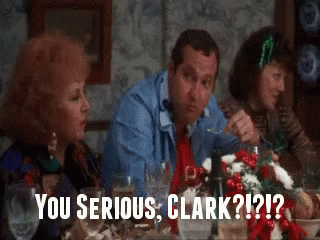 Are You Serious Clark Christmas Vacation GIF - AreYouSeriousClark Clark ChristmasVacation ...