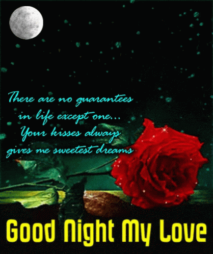 Love You Good Night My Love GIF - LoveYou GoodNightMyLove SweetDreams ...
