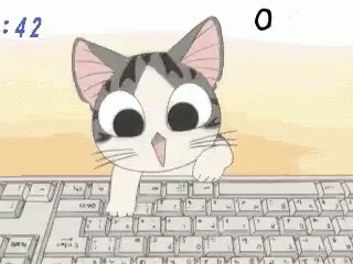 cat anime gif cat