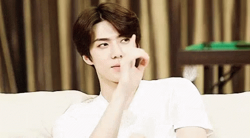 ผลà¸à¸²à¸£à¸„้นหารูปภาพสำหรับ exo sehun gif