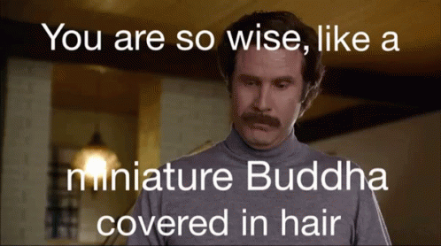 Image result for wise gif