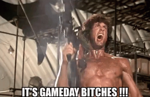 Image result for gameday gifs