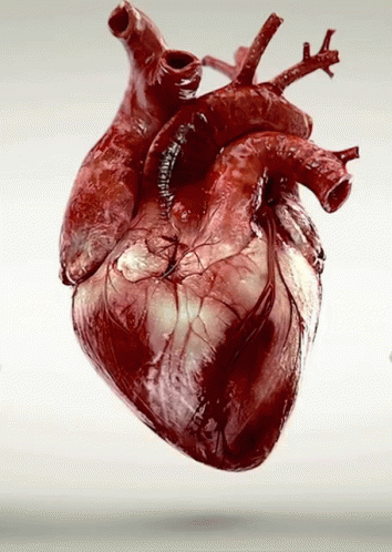 heart beating gif machine