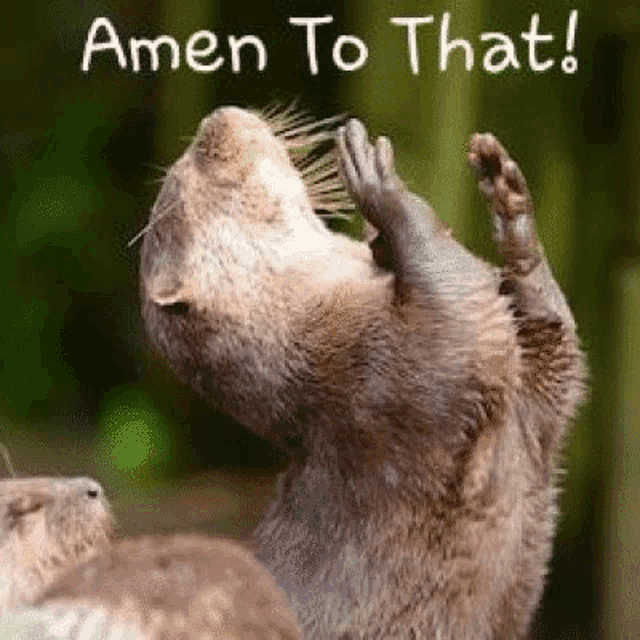 Amen To That GIF - AmenToThat - Discover & Share GIFs
