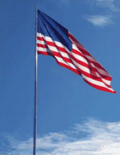 America USA GIF - America USA Flag - Discover & Share GIFs