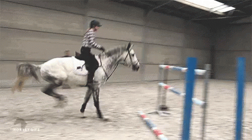 Equestrian Horse Jumping Gifs