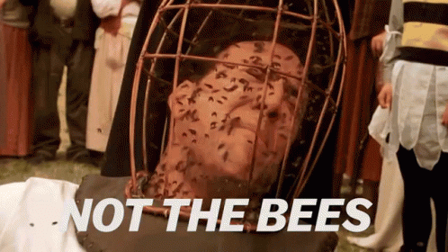 Image result for not the bees gif