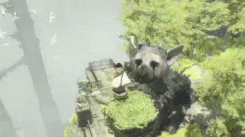 Image result for the last guardian gif