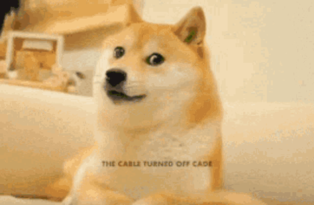 pics Doge Dance Gif doge shiba inu gif doge shibainu dog discover share gifs