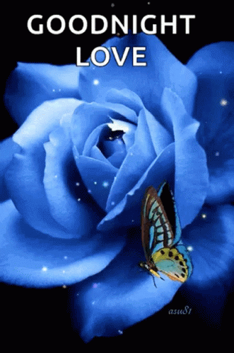 Good Night Love GIF - GoodNight Love Butterfly - Discover & Share GIFs