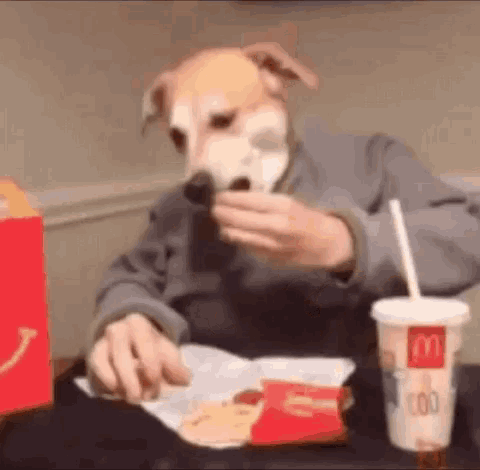 Funny Animals Dog GIF - FunnyAnimals Dog Mcdonalds - Discover & Share GIFs