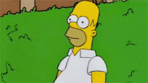 Homer Simpsons GIFs | Tenor