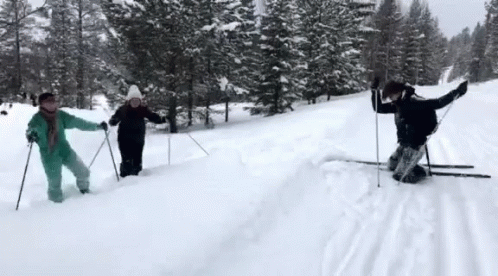 Falling On Ski Ski Fail GIF - FallingOnSki SkiFail Snow GIFs