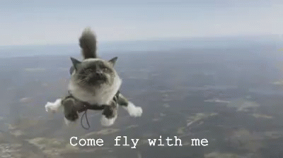 Come Fly With Me Gif