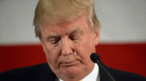 Image result for trump crying gif