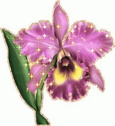 Resultado de imagen para orquideas gifs