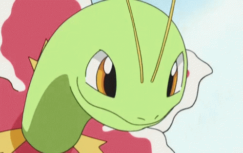 meganium gif meganium discover