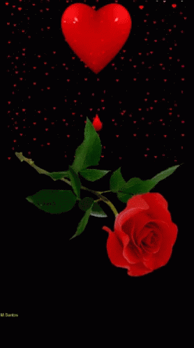 kisses red rose gif
