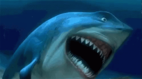 Image result for bruce shark gif