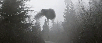 tenor.gif?itemid=10544055