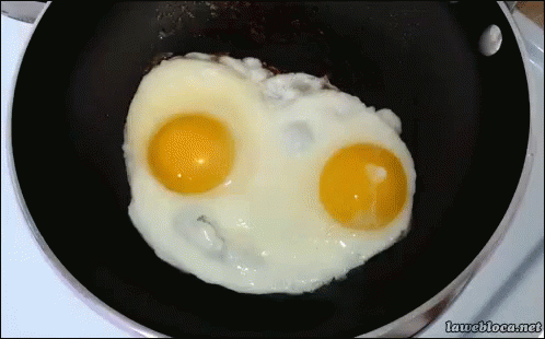 Cooking Eggs GIF - Egg Cooking SunnySideUp - Discover & Share GIFs