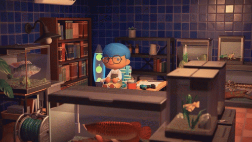 Room Animal Crossing GIF - Room AnimalCrossing ... Room Animal Crossing GIF - Room AnimalCrossing ... on Animal Crossing Living Room Ideas New Horizons
id=97071