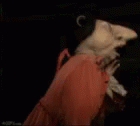 jerk bate gif jerk bate troll discover share gifs