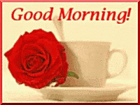 Good Morning Red Rose GIF - GoodMorning RedRose Coffee GIFs
