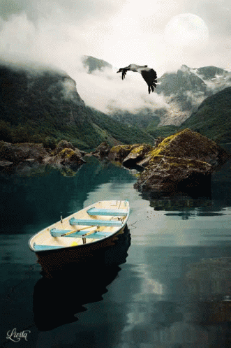 River Ship GIF - River Ship Vulture - Discover & Share GIFs