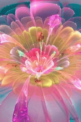 Flowers GIF - Flowers - Discover & Share GIFs