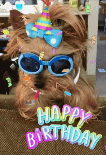 Happy Birthday Dog GIF - HappyBirthday Dog Pup - Discover & Share GIFs