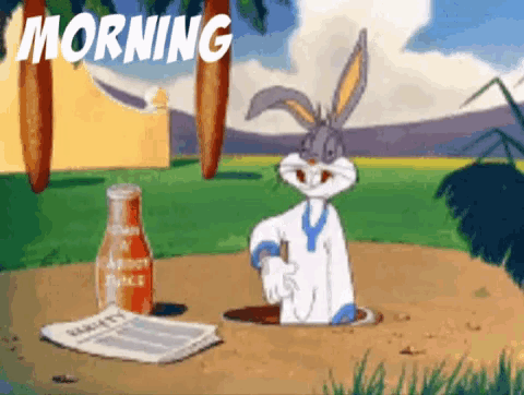 Good Morning Bunny GIFs | Tenor
