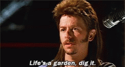Joe Dirt David Spade GIF - JoeDirt DavidSpade LifeIsAGardenDigIt GIFs