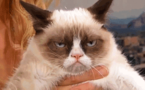 Grumpy Cat Is Grumpy GIF - Grumpy Cat GrumpyCat GIFs
