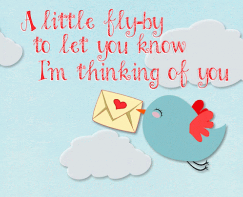 Hi Little Birdie GIF - Hi LittleBirdie ThinkingAboutYou GIFs