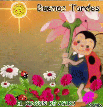 Imagen